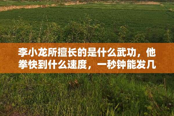 李小龙所擅长的是什么武功，他拳快到什么速度，一秒钟能发几拳呢？
