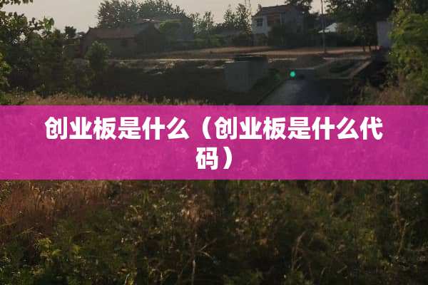 创业板是什么（创业板是什么代码）