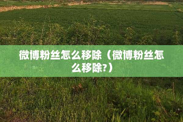 微博粉丝怎么移除（微博粉丝怎么移除?）
