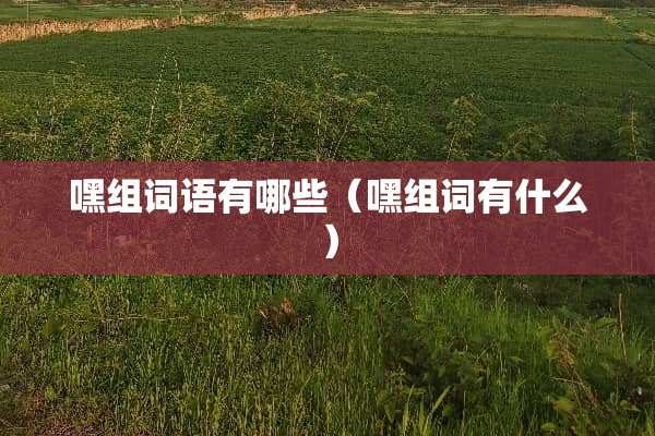 嘿组词语有哪些（嘿组词有什么）
