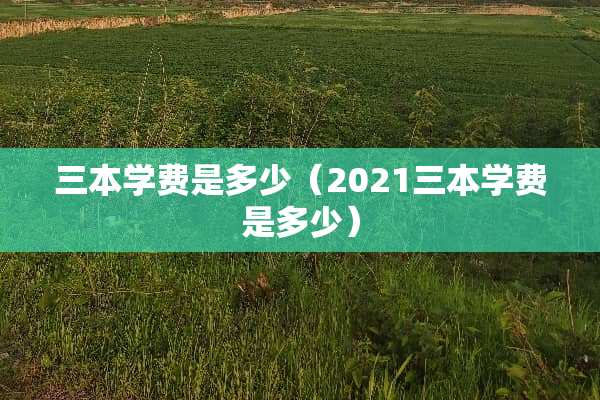 三本学费是多少（2021三本学费是多少）