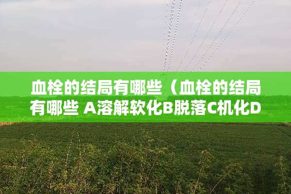 血栓的结局有哪些（血栓的结局有哪些 A溶解软化B脱落C机化D再通）