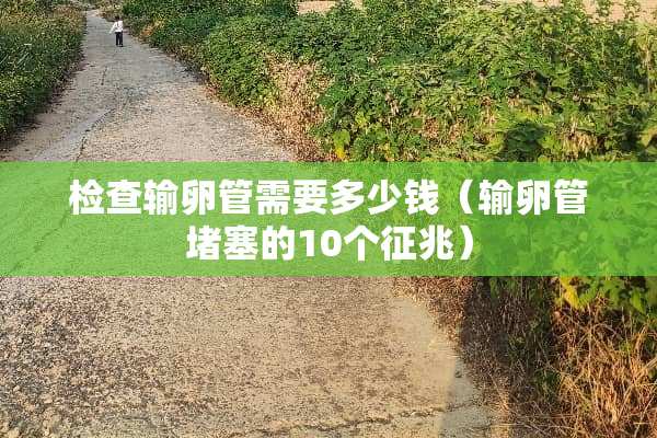 检查输卵管需要多少钱（输卵管堵塞的10个征兆）
