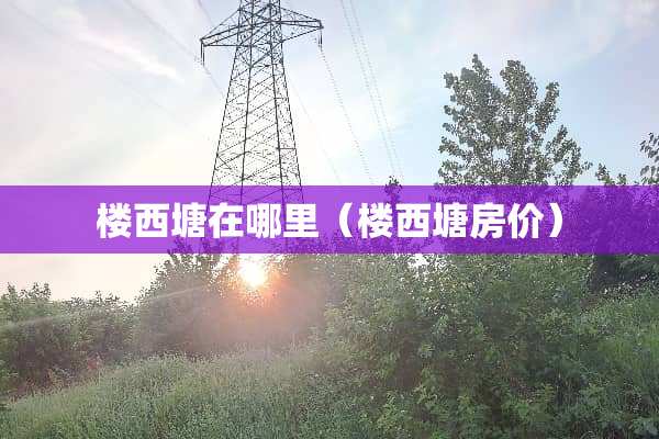 楼西塘在哪里（楼西塘房价）
