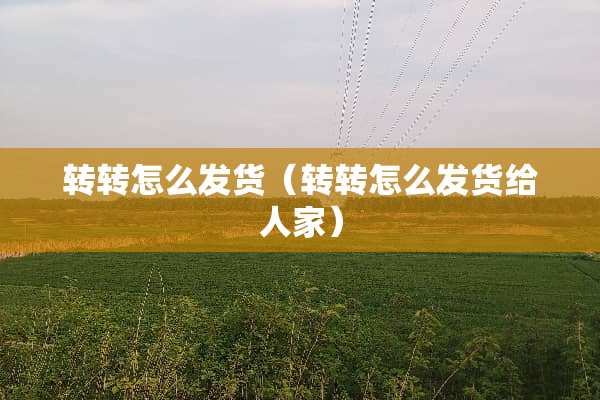 转转怎么发货（转转怎么发货给人家）