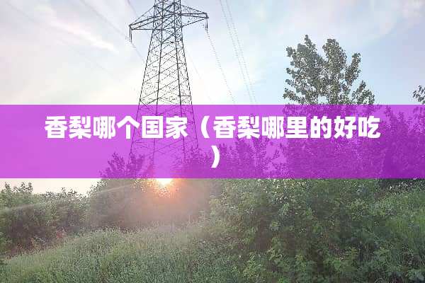 香梨哪个国家（香梨哪里的好吃）