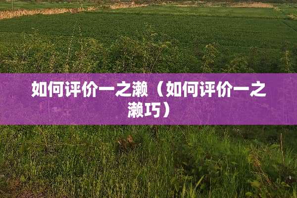如何评价一之濑（如何评价一之濑巧）
