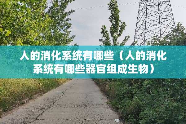 人的消化系统有哪些（人的消化系统有哪些**组成生物）