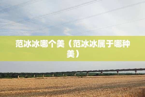 范冰冰哪个美（范冰冰属于哪种美）