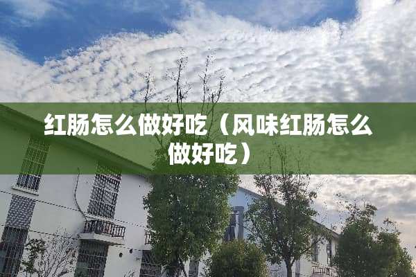 红肠怎么做好吃（风味红肠怎么做好吃）