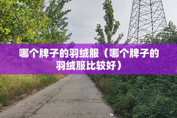 哪个牌子的羽绒服（哪个牌子的羽绒服比较好）
