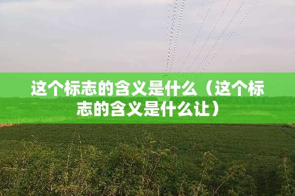 这个标志的含义是什么（这个标志的含义是什么让）