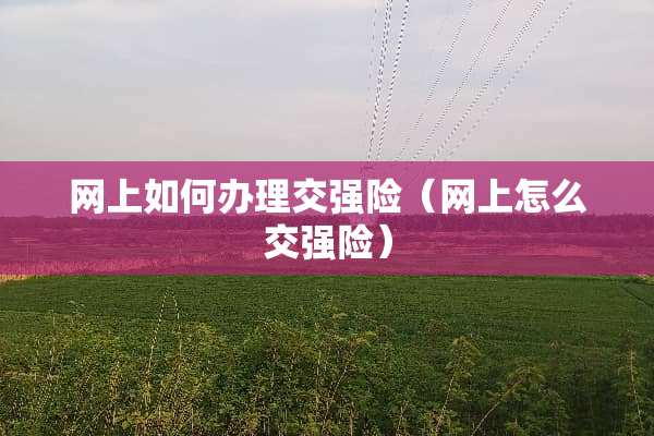 网上如何办理交强险（网上怎么交强险）