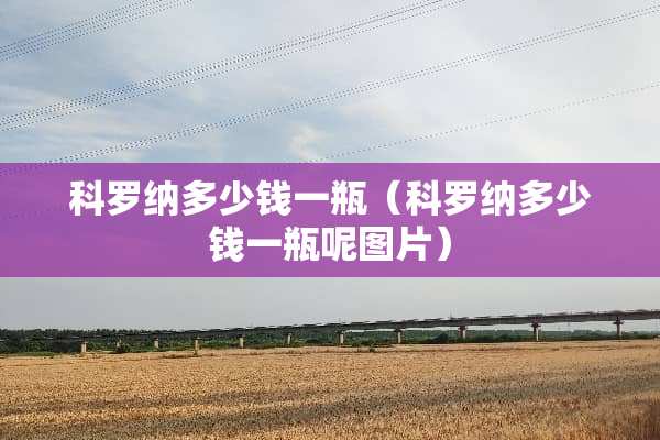 科罗纳多少钱一瓶（科罗纳多少钱一瓶呢图片）