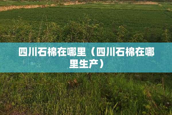 四川石棉在哪里（四川石棉在哪里生产）