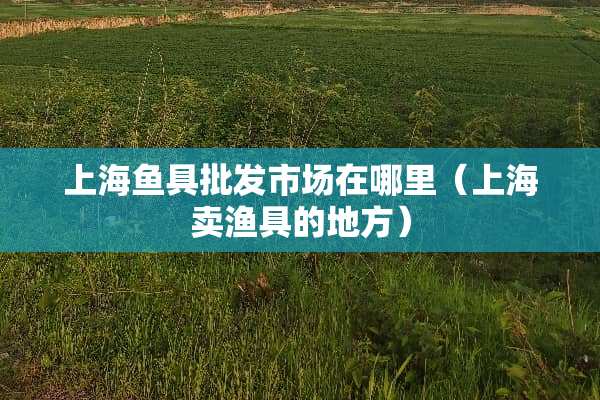 上海鱼具批发市场在哪里（上海卖渔具的地方）