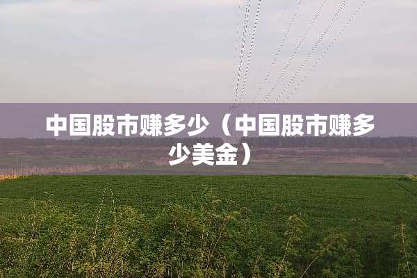 中国股市赚多少（中国股市赚多少美金）