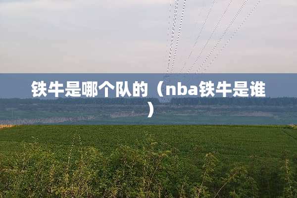 铁牛是哪个队的（nba铁牛是谁）