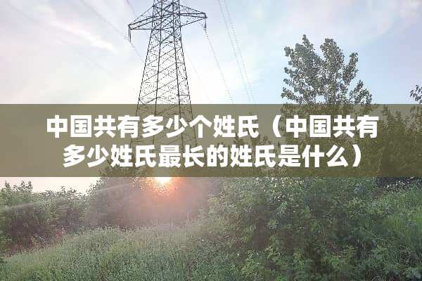 中国共有多少个姓氏（中国共有多少姓氏最长的姓氏是什么）