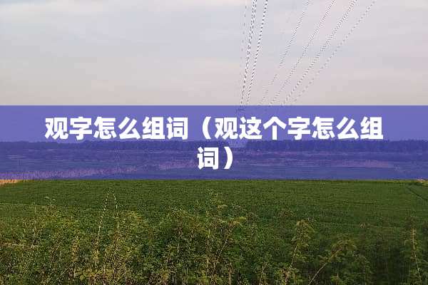 观字怎么组词（观这个字怎么组词）