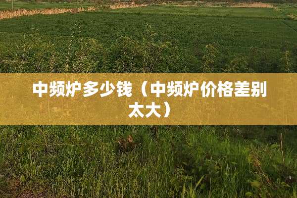 中频炉多少钱（中频炉价格差别太大）