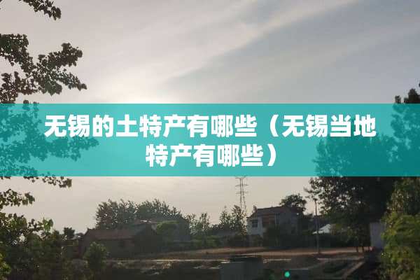 无锡的土特产有哪些（无锡当地特产有哪些）