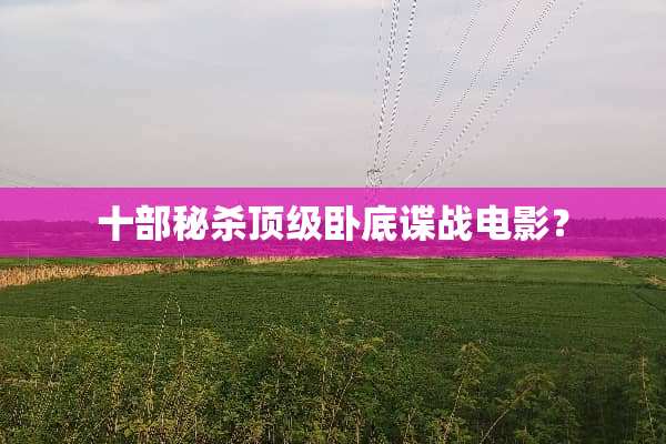 十部秘杀****谍战电影？