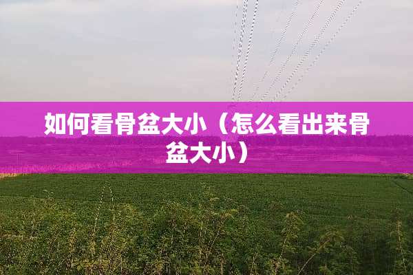 如何看骨盆大小（怎么看出来骨盆大小）