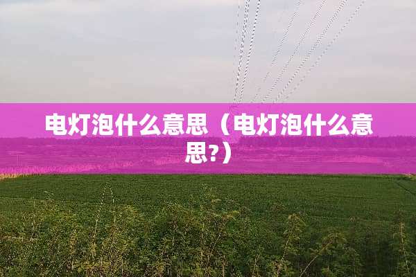 电灯泡什么意思（电灯泡什么意思?）