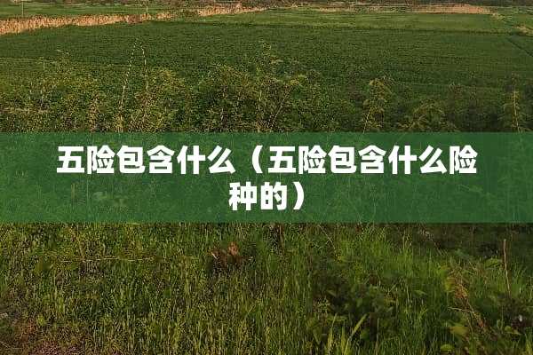 五险包含什么（五险包含什么险种的）