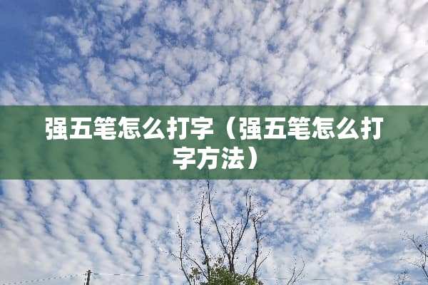强五笔怎么打字（强五笔怎么打字方法）