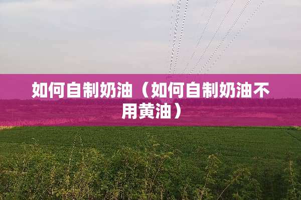 如何自制奶油（如何自制奶油不用黄油）