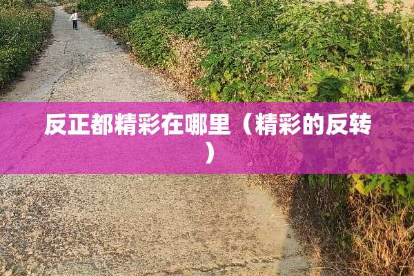 反正都精彩在哪里（精彩的反转）