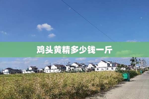 鸡头黄精多少钱一斤