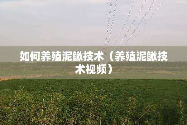 如何养殖泥鳅技术（养殖泥鳅技术视频）