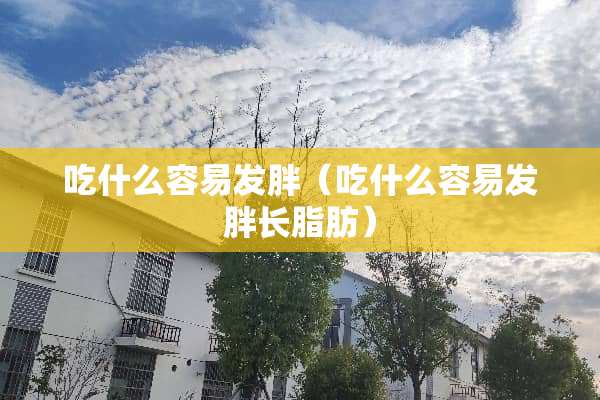 吃什么容易发胖（吃什么容易发胖长脂肪）