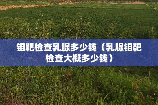钼靶检查*腺多少钱（*腺钼靶检查大概多少钱）