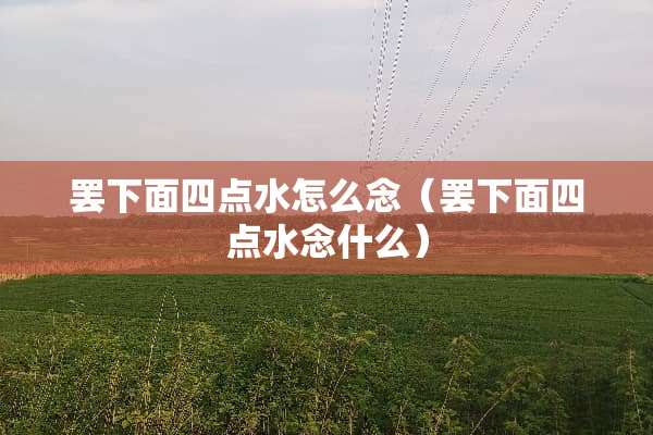 罢下面四点水怎么念（罢下面四点水念什么）