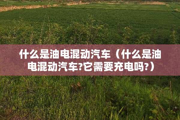 什么是油电混动汽车（什么是油电混动汽车?它需要充电吗?）