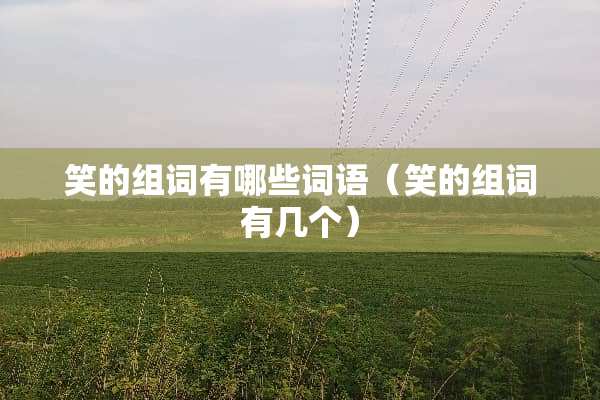 笑的组词有哪些词语（笑的组词有几个）