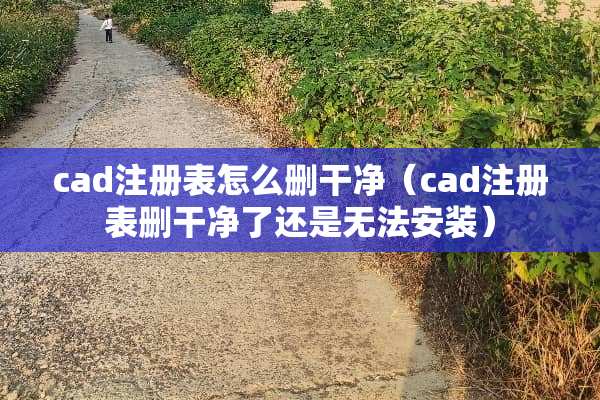 cad注册表怎么删干净（cad注册表删干净了还是无法安装）