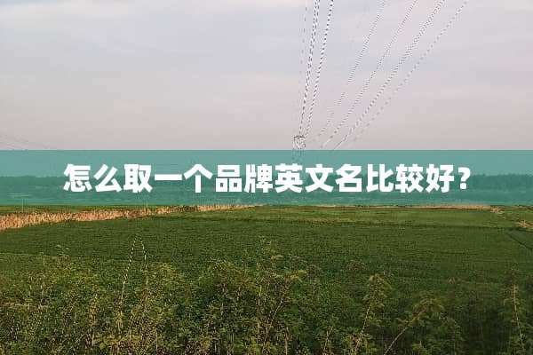 怎么取一个品牌英文名比较好？