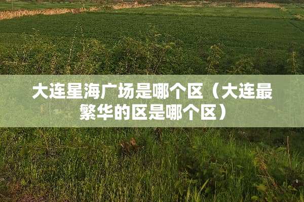 大连星海广场是哪个区（大连最繁华的区是哪个区）