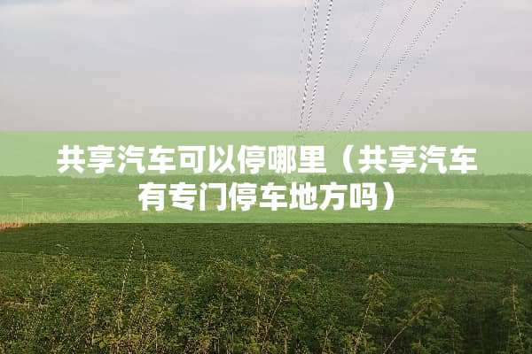共享汽车可以停哪里（共享汽车有专门停车地方吗）
