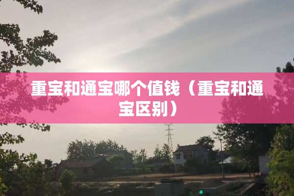 重宝和通宝哪个值钱（重宝和通宝区别）