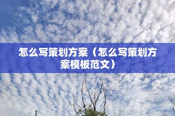 怎么写策划方案（怎么写策划方案模板范文）
