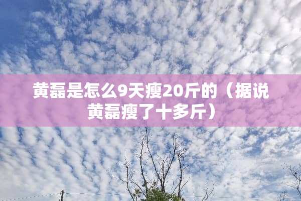 黄磊是怎么9天瘦20斤的（据说黄磊瘦了十多斤）