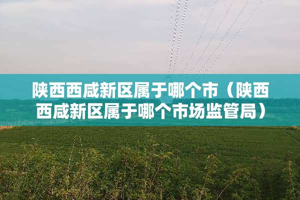 陕西西咸新区属于哪个市（陕西西咸新区属于哪个市场监管局）