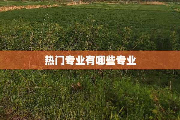 热门专业有哪些专业