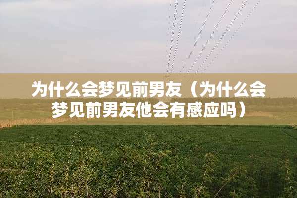 为什么会梦见前男友（为什么会梦见前男友他会有感应吗）